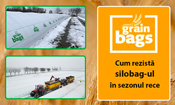 cum rezista silobagul in sezonul rece