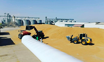 incarcare cereale in silobag folosind tractor si incarcator