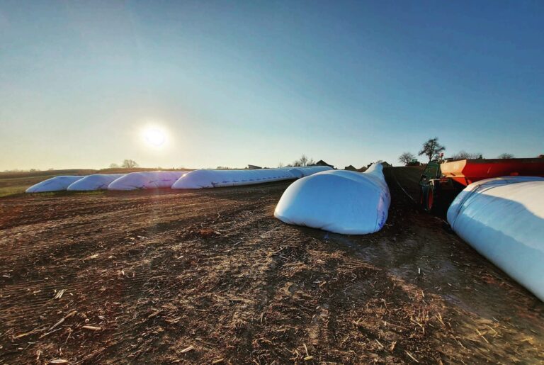saci de silobag pe camp