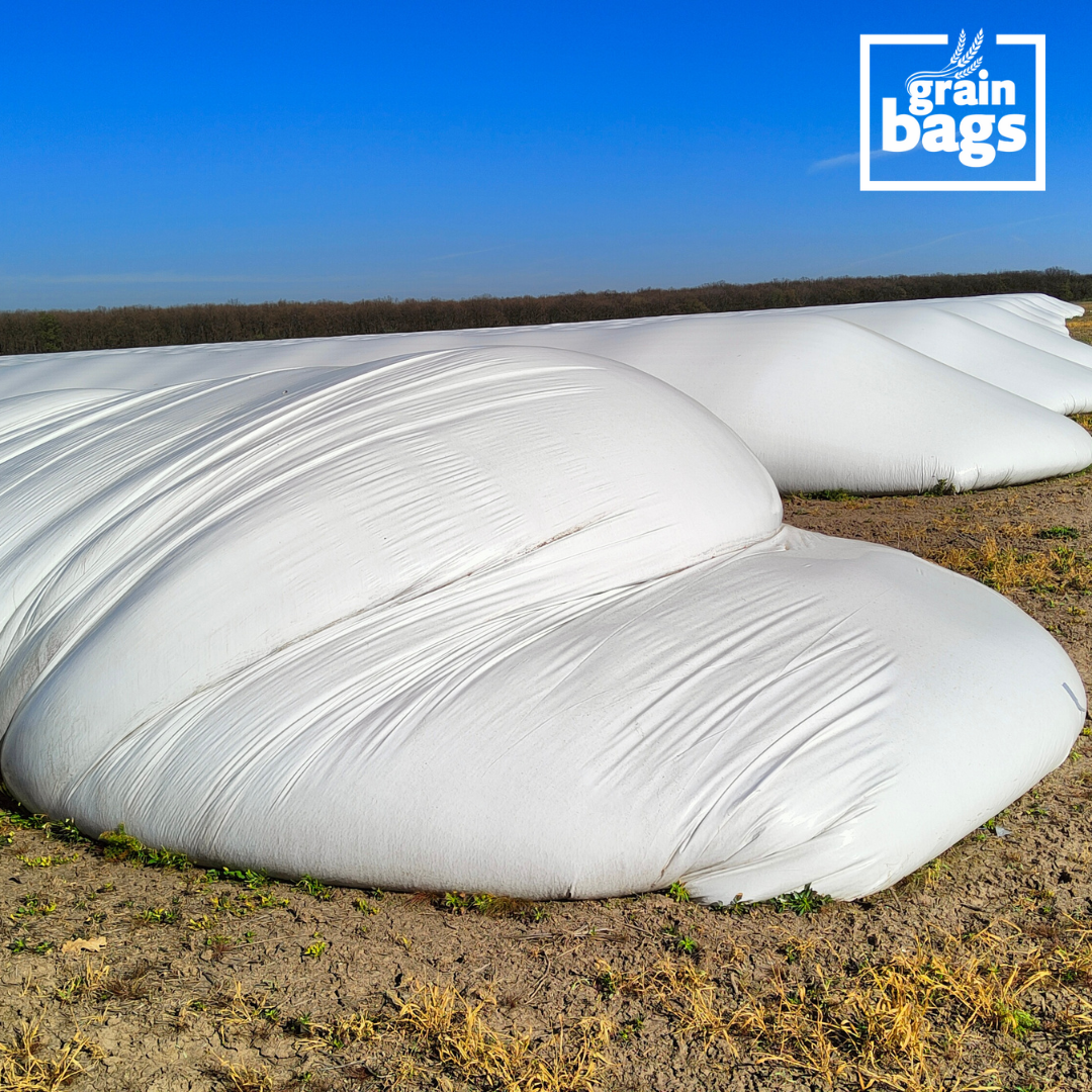 saci de silobag de la grain bags